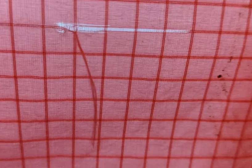 A tear-strength test on red ripstop paraglider fabric